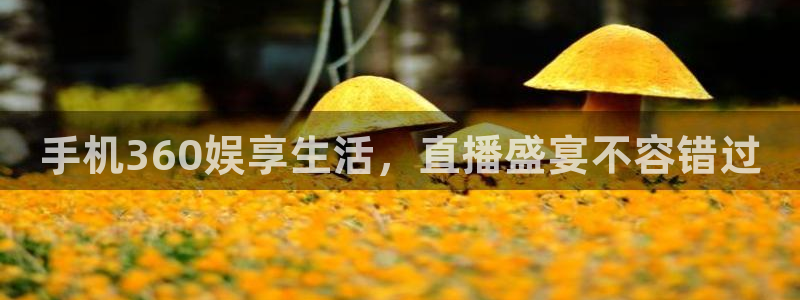 178篮球直播平台：手机360娱享生活，直播盛宴不容错过