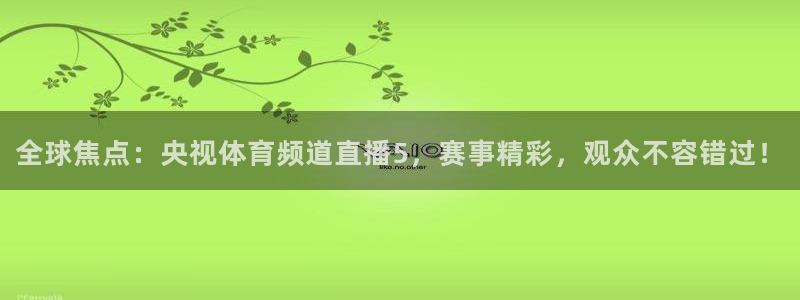 nba直播在线直播178：全球焦点：央视体育频道直播5，赛事精彩，观众不容错过！