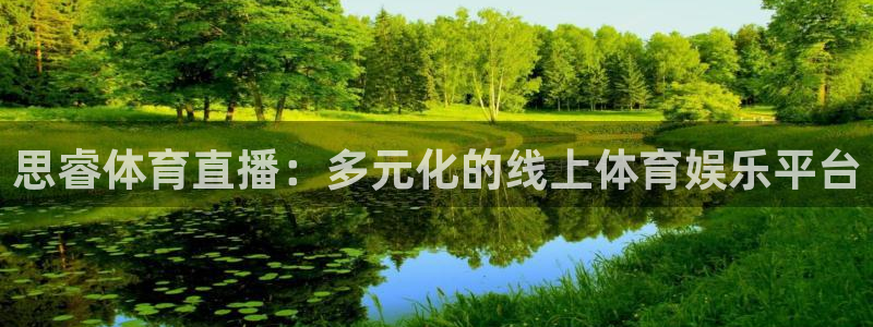 178体育直播网：思睿体育直播：多元化的线上体育娱乐平台