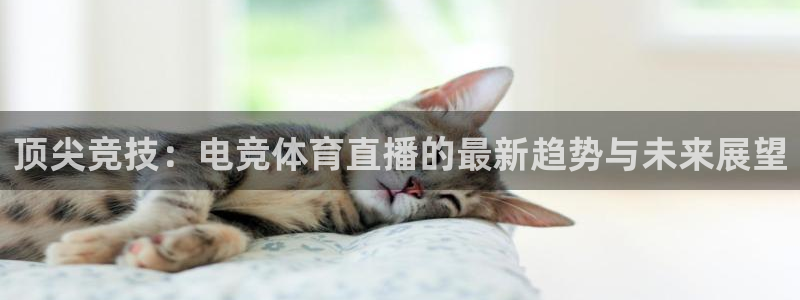 nba178在线直播免费观看直播：顶尖竞技：电竞体育直播的最新趋势与未来展望